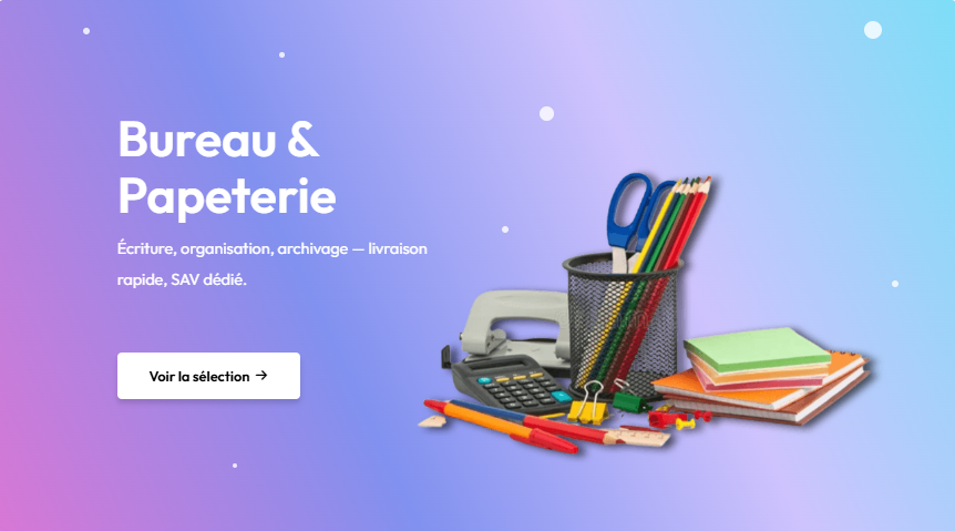 capture d'écran 2026 02 11 163059
